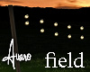 Field String Lights