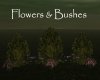 AV Flowers & Bushes