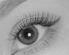 Lashes