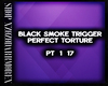 BST - Perfect Torture