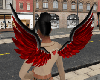 H l Anput Wings