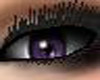 !ZC!Purple Eyes F