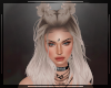 + Abia Platinum