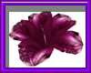 (sm)purple flower pose