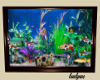 fish  tank