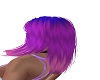Tilly blue purple