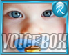 R% Cute Baby Voice Box