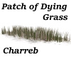 !Patch of Dying Grass