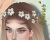 N| Almond Flowers Crown