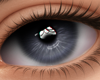 Hypnotic Eyes Gray