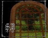 sb rosebush window wood
