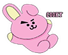 COOKY