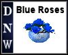 Blue Roses & Pot