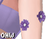 cutest lilac daisies