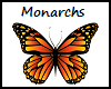 Floating Monarch