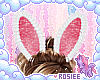 ✿ bunny ears