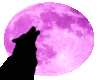 Wolf And Purple Moon