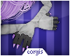 c; Aster Claws F