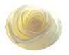 Pale Yellow Rose Marker