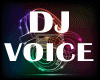 DJ VOICE