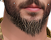 Beard I