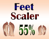 Feet Scaler 55%