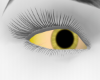 MI Yellow Eyes