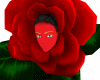 Red Rose costume skin