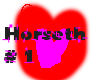 Horseth # 1