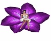 Purple Flower FairyChair