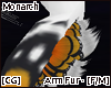 [CG] Monarch Arm Fur
