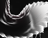 Lilith Tail