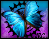 ~JBG~ Blue Butterfly