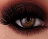 Glam Doll Zell Lashes