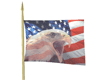 Anim.USA FLAG