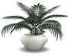 white vase  plant