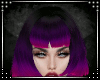 |Mini| Oisticu Purple
