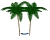 Palm Trees w/Hammock #2