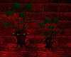BRDQ Plants