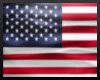 USA Flag -Req