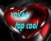 voices top cool