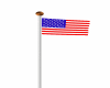 USA Flag and pole