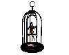 Cage Dance bird