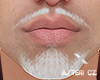 ❌ Asteri beard v24