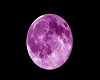 luna morada