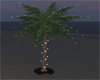 palm tree/lights