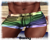 *SW*Colorful Swim Shorts