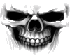 Skull♥