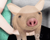 Piggy Avatars F