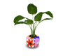 Modern Art Plant